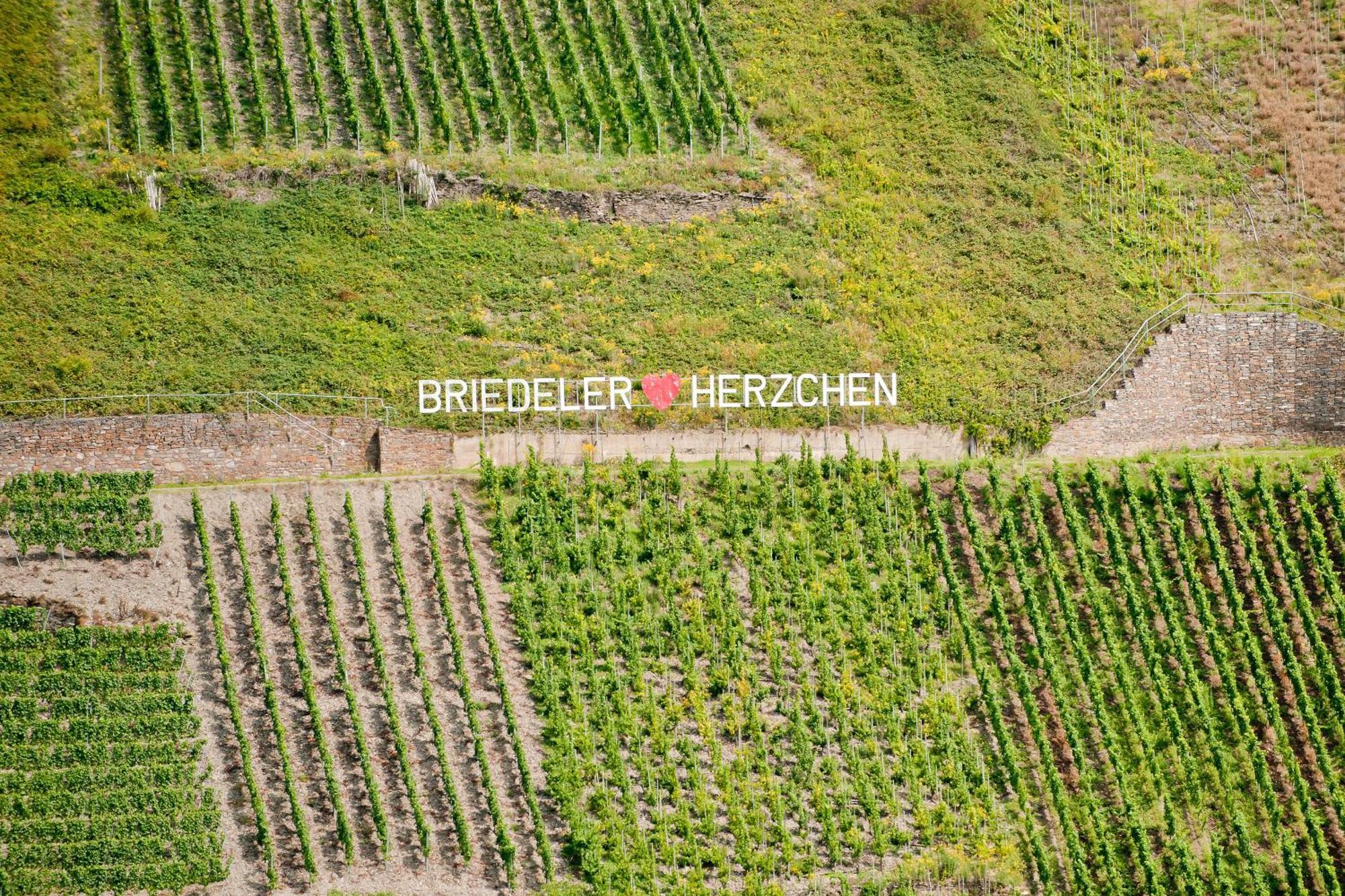 Wein- Und Sektgut Markus Hensler Briedel Luaran gambar